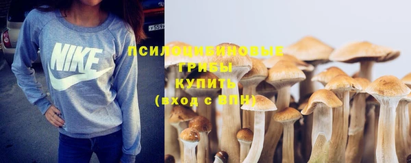 соль ск Беломорск