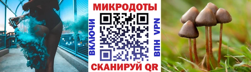Псилоцибиновые грибы Magic Shrooms закладки Пятигорск